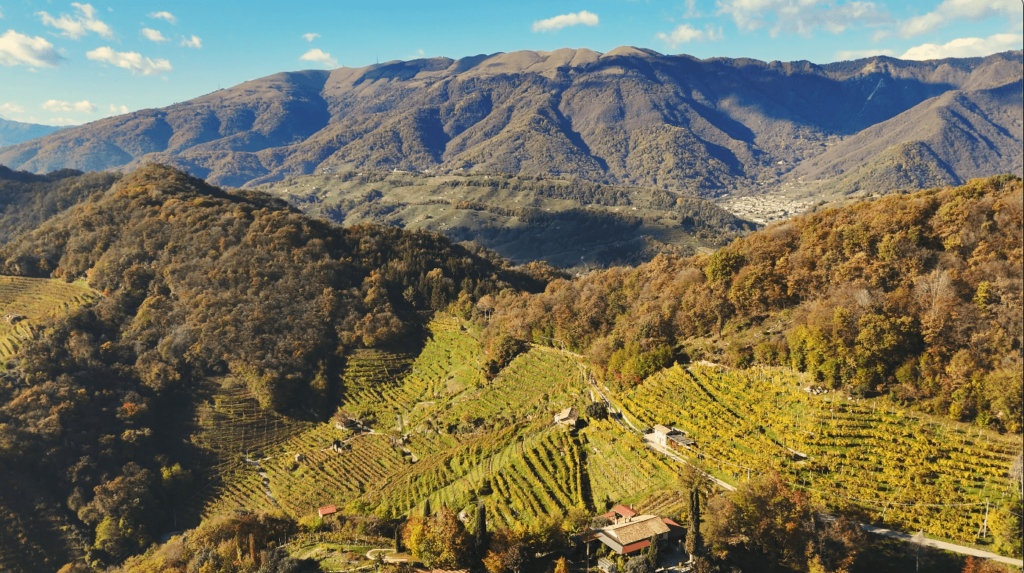 Aerial view of the Prosecco Hills with terraced vineyards glowing in golden hues, surrounded by wooded hills and towering mountains in the background, all under a bright blue sky with scattered clouds.