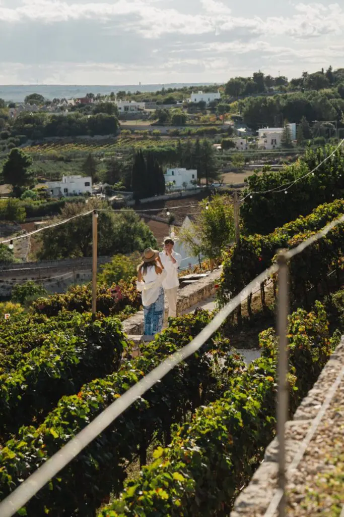 Walking through vineyard