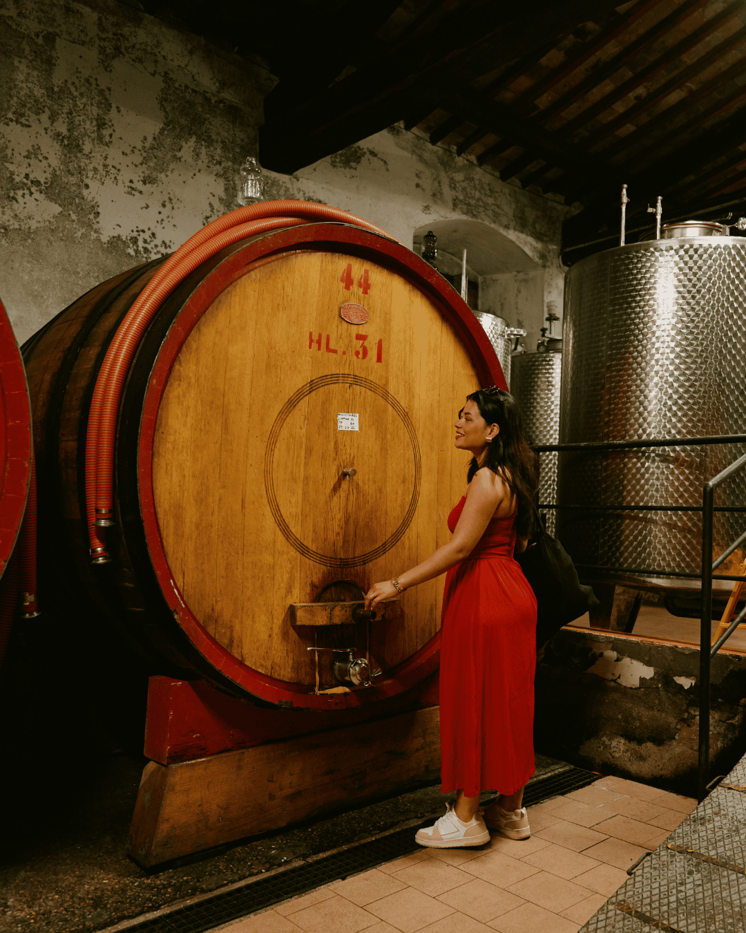 wine tour in wine cellar in Chianti