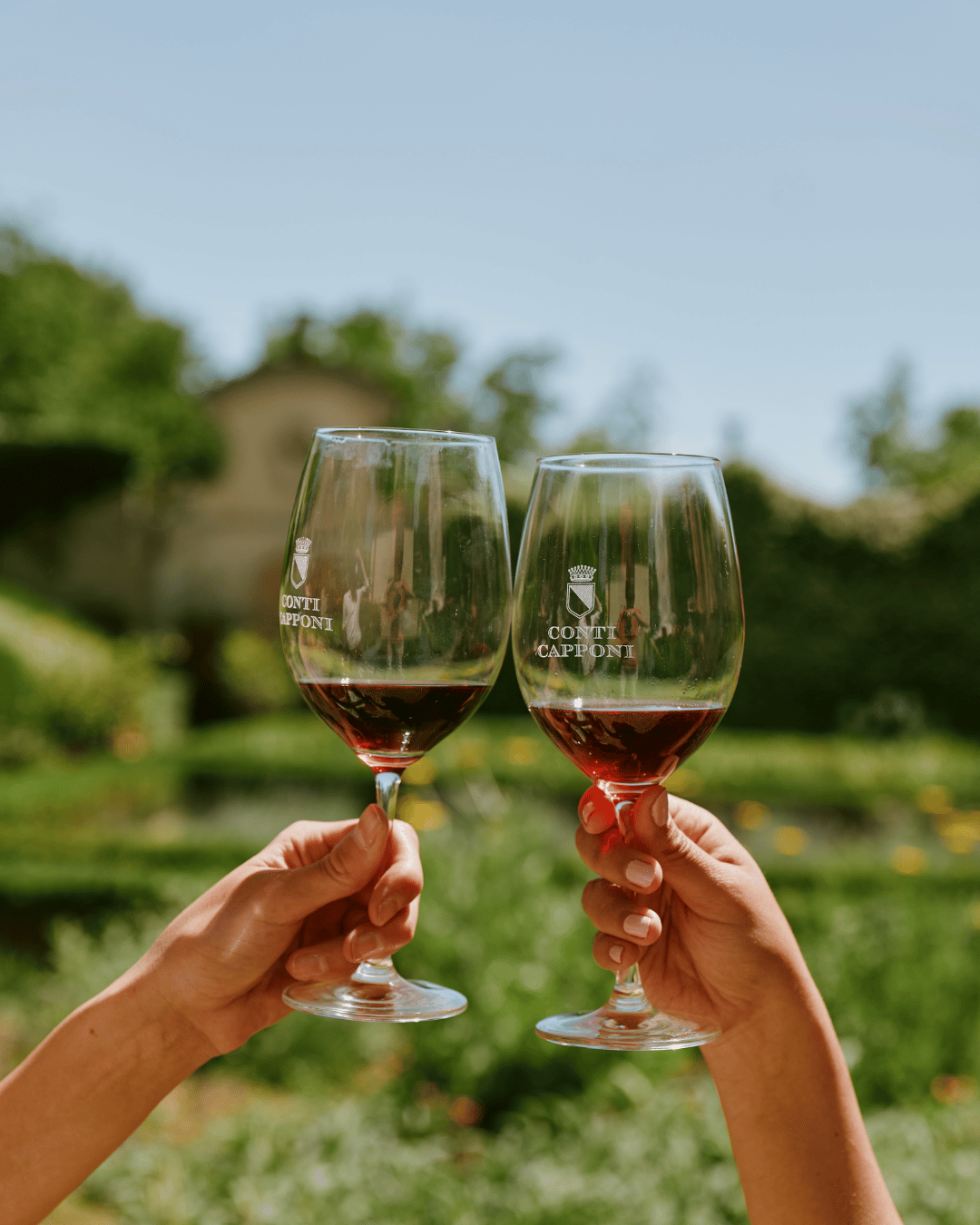 Chianti wines