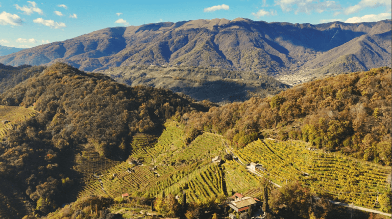 Vue aérienne des collines de Prosecco avec des vignobles en terrasses qui brillent de teintes dorées, entourés de collines boisées et de montagnes majestueuses en arrière-plan, le tout sous un ciel bleu éclatant parsemé de nuages.